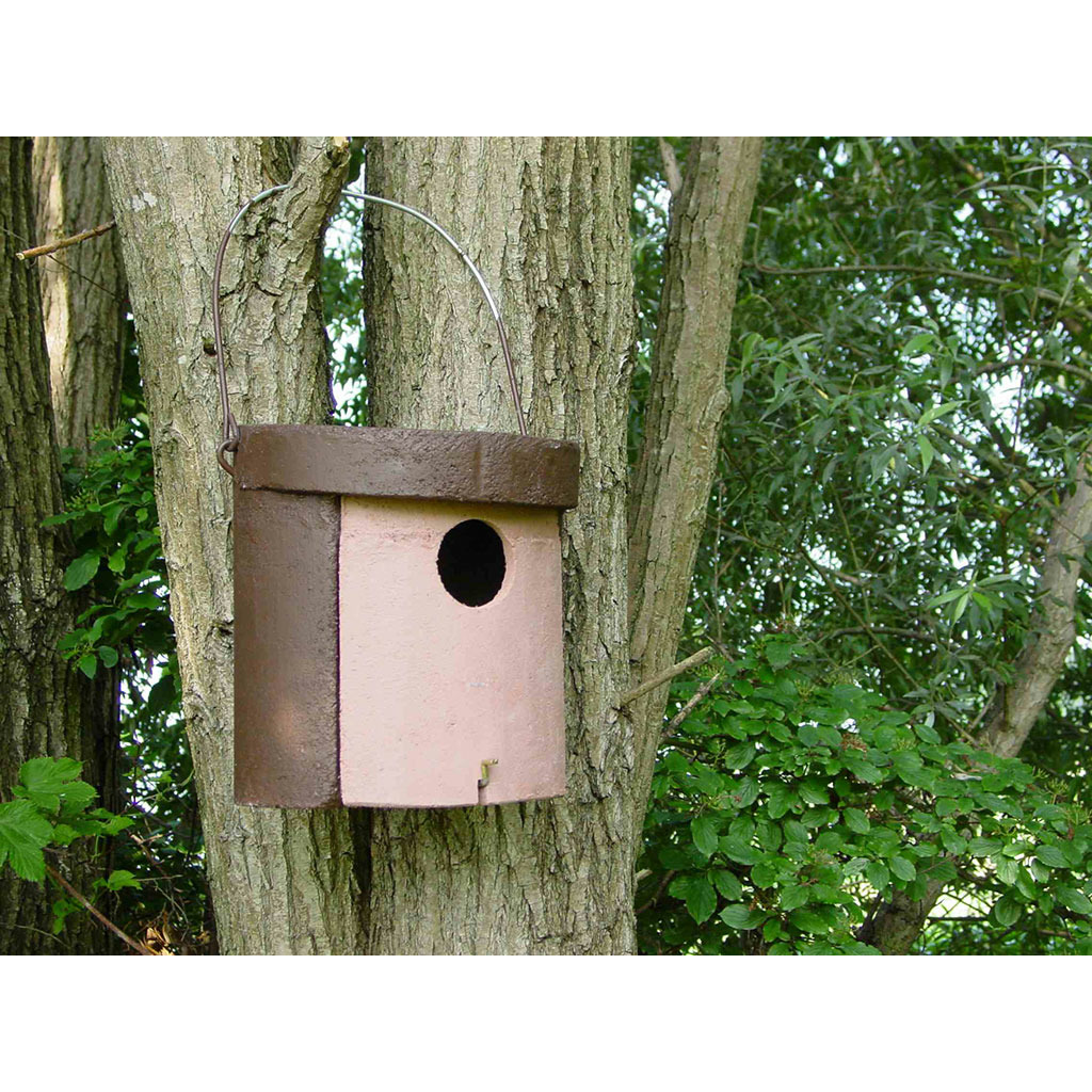 1CGA Caja nido para carraca
