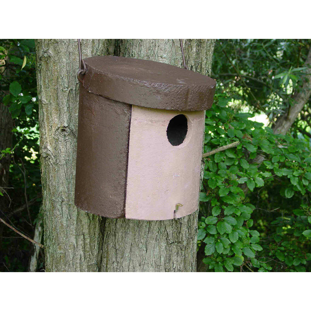 1CGA Caja nido para carraca_1