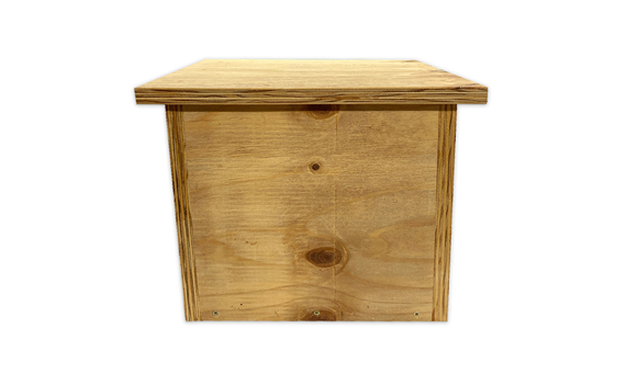 Caja nido para cernícalo vulgar en madera tratada 3