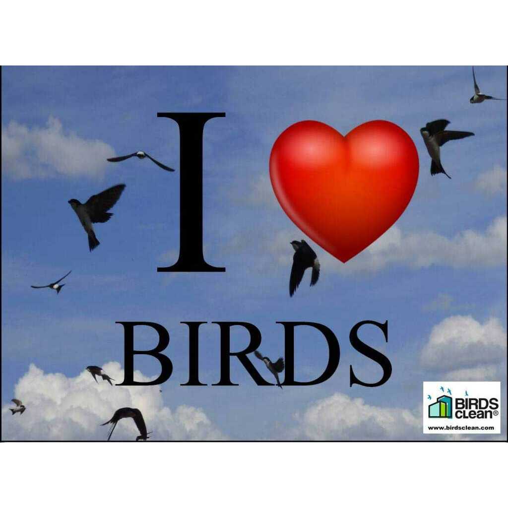 Recogedor de excrementos de golondrinas modelo I love birds 3