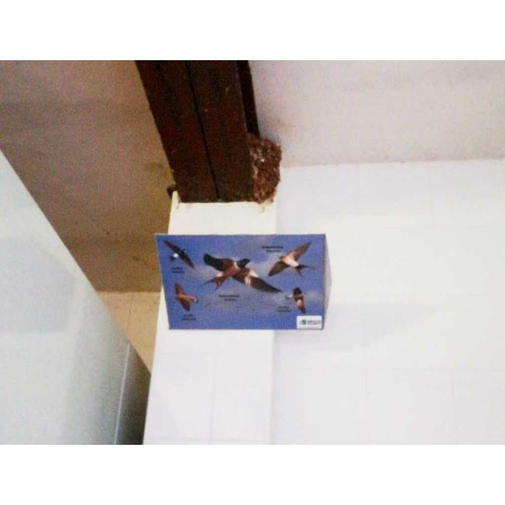Recogedor de excrementos de golondrinas modelo Volando_1