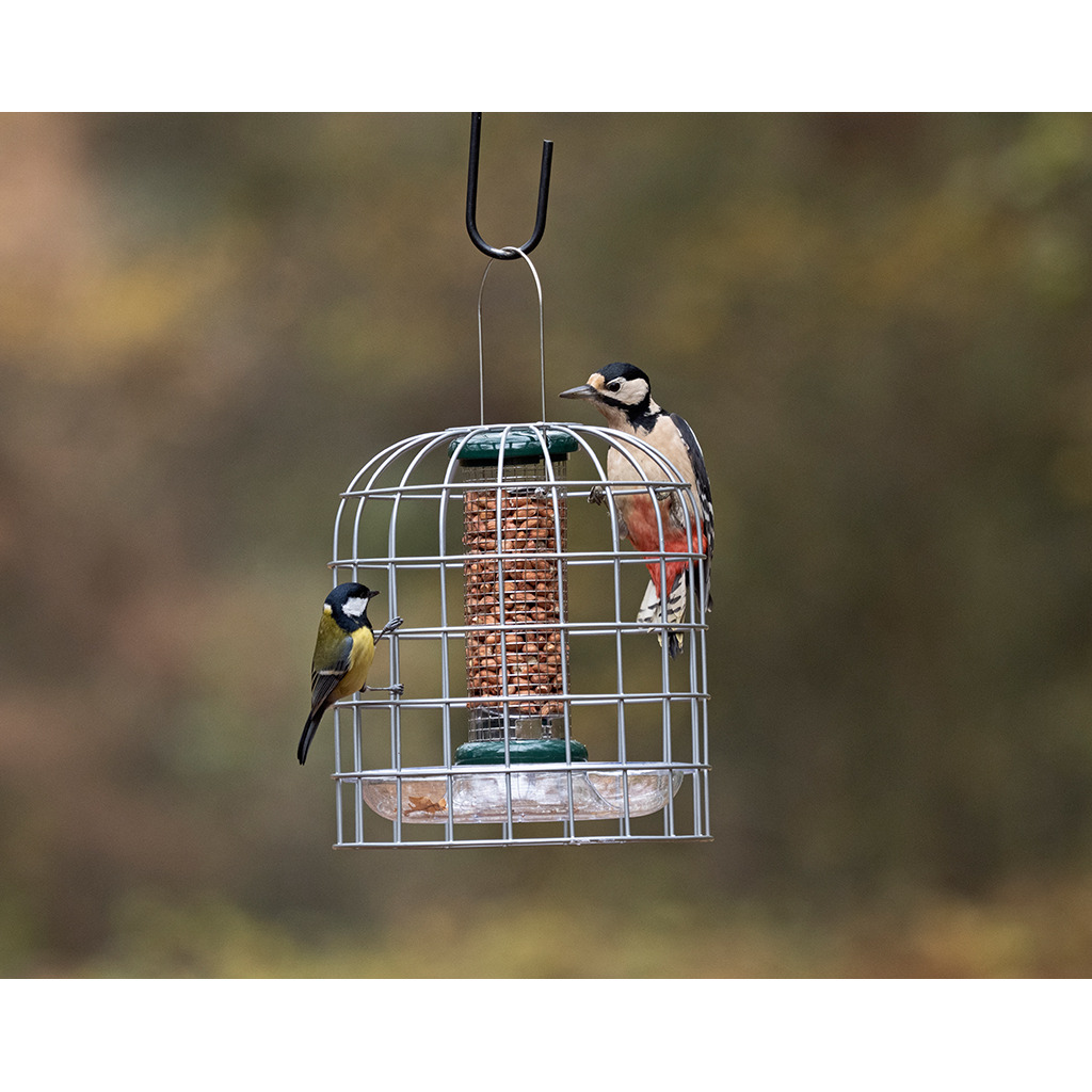 BFG-3 Bird Feeder Guardians pequeño 3