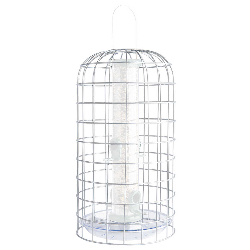 BFG-4 Bird Feeder Guardians mediano