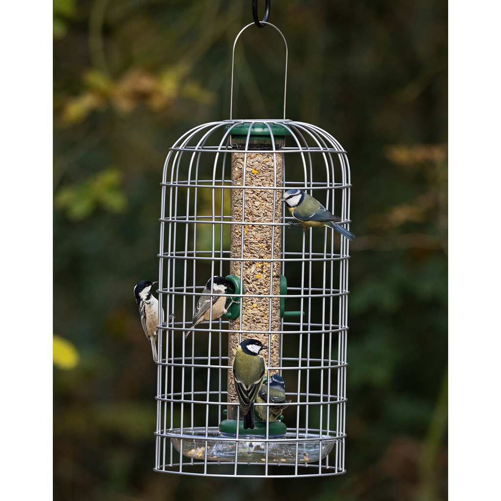 BFG-4 Bird Feeder Guardians mediano_1