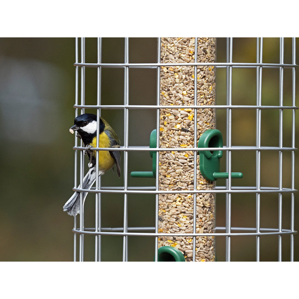 BFG-4 Bird Feeder Guardians mediano 3
