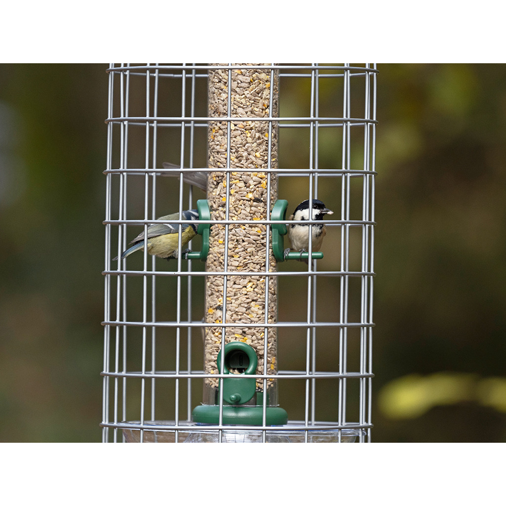 BFG-4 Bird Feeder Guardians mediano 4