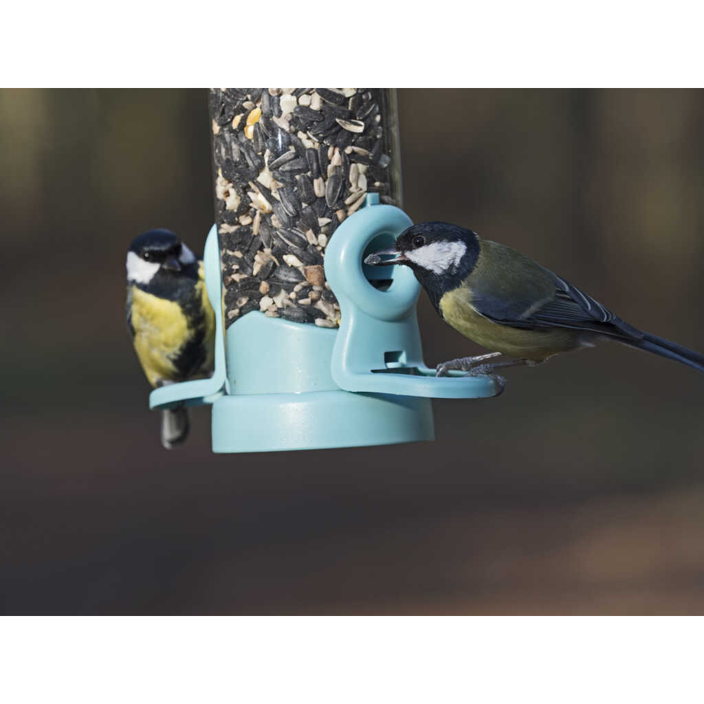 GRANA-P Bolsa de mezcla de semillas de alta proteína. Alimento para aves silvestres 1 kg 5