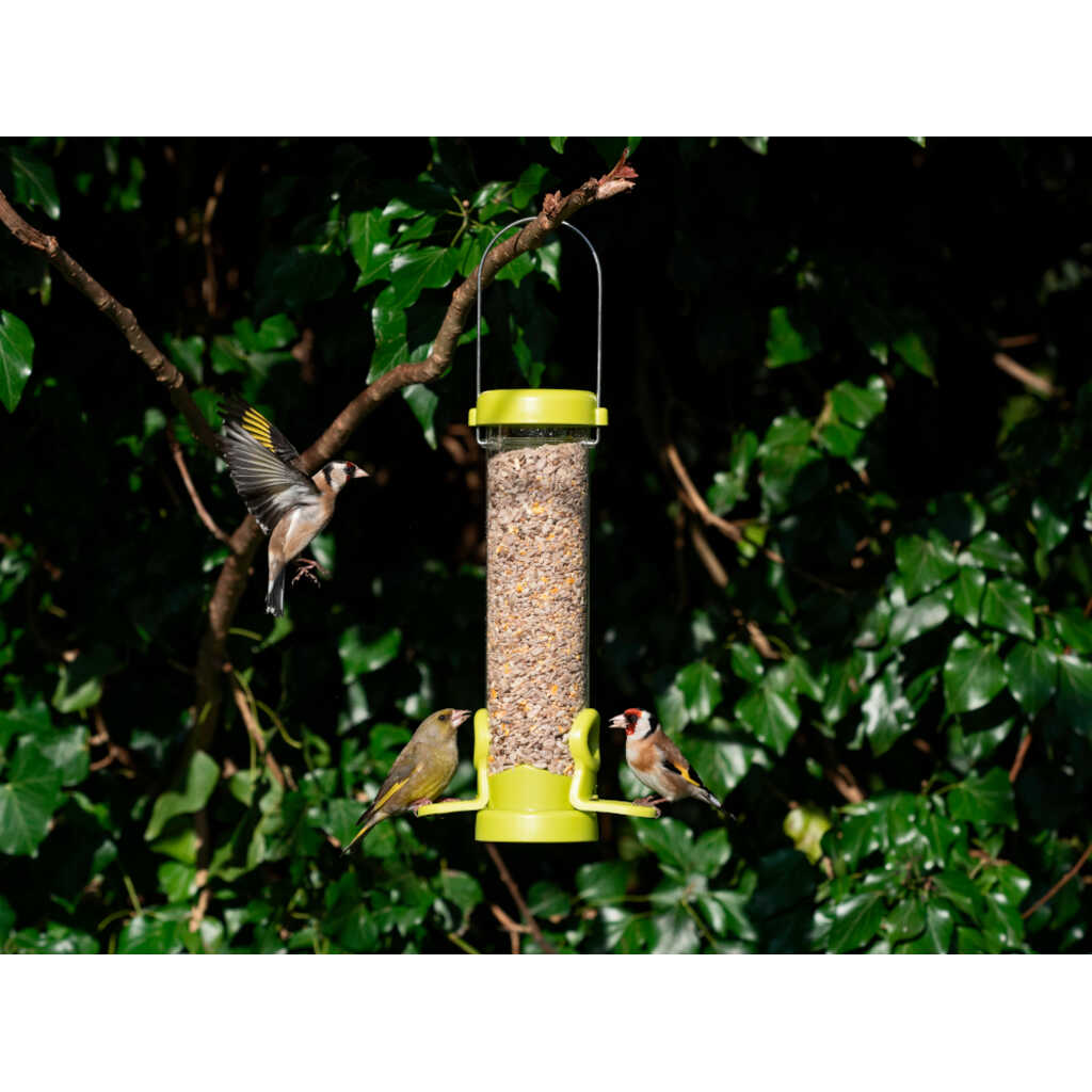 GRANA-P Bolsa de mezcla de semillas de alta proteína. Alimento para aves silvestres 1 kg 3