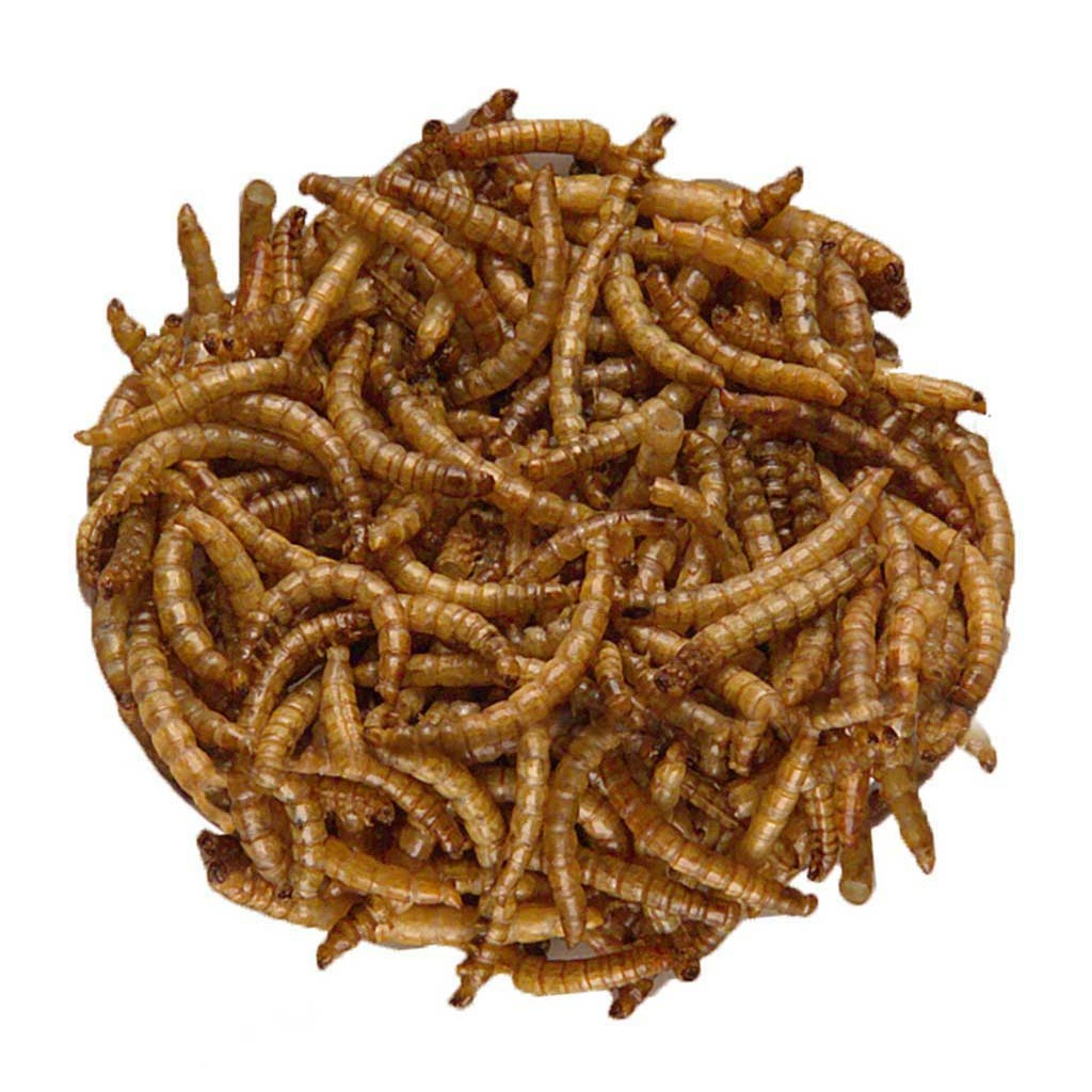 Grana-MRL-500 Larvas de tenebrios deshidratadas 500g_1