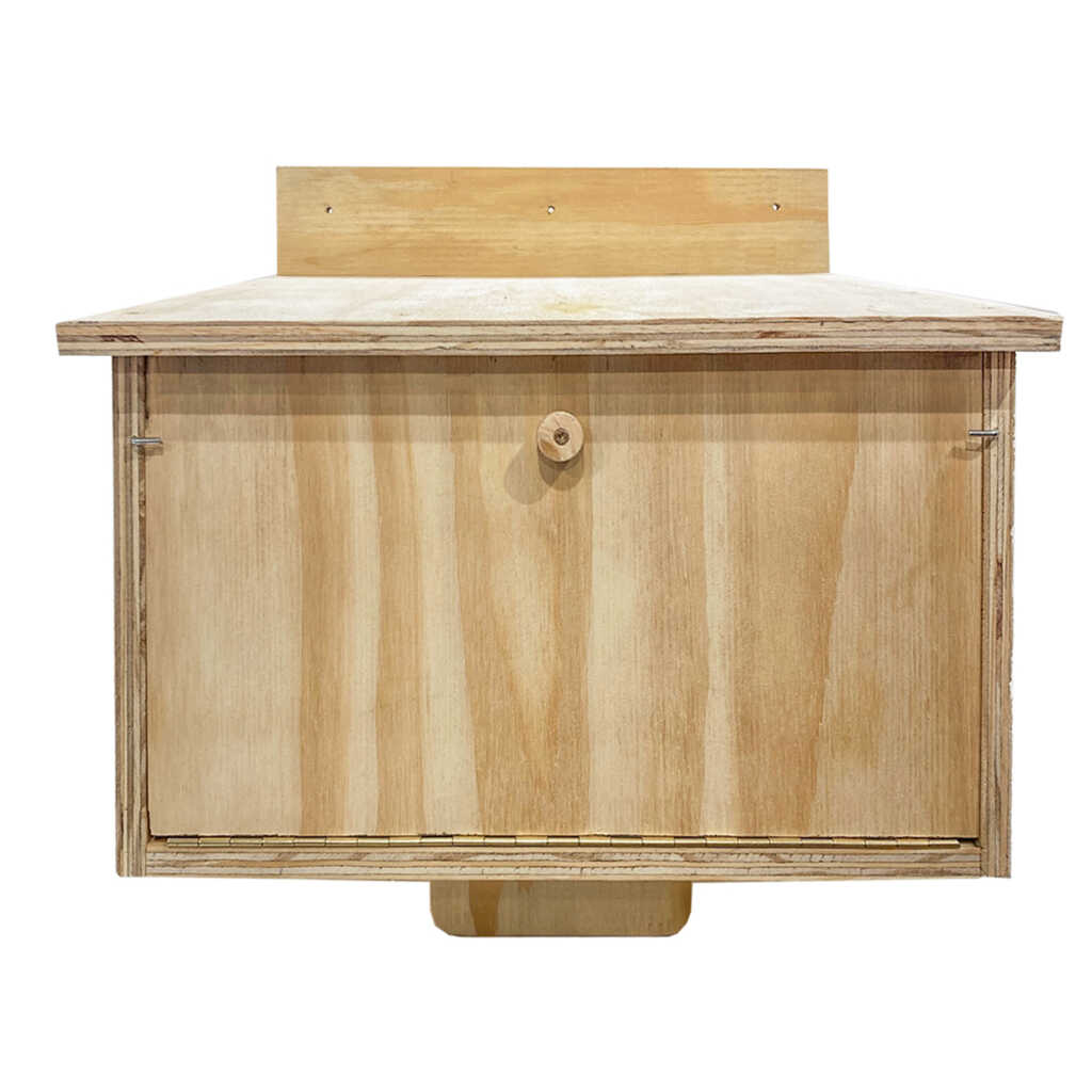 Caja nido de madera para vencejo real