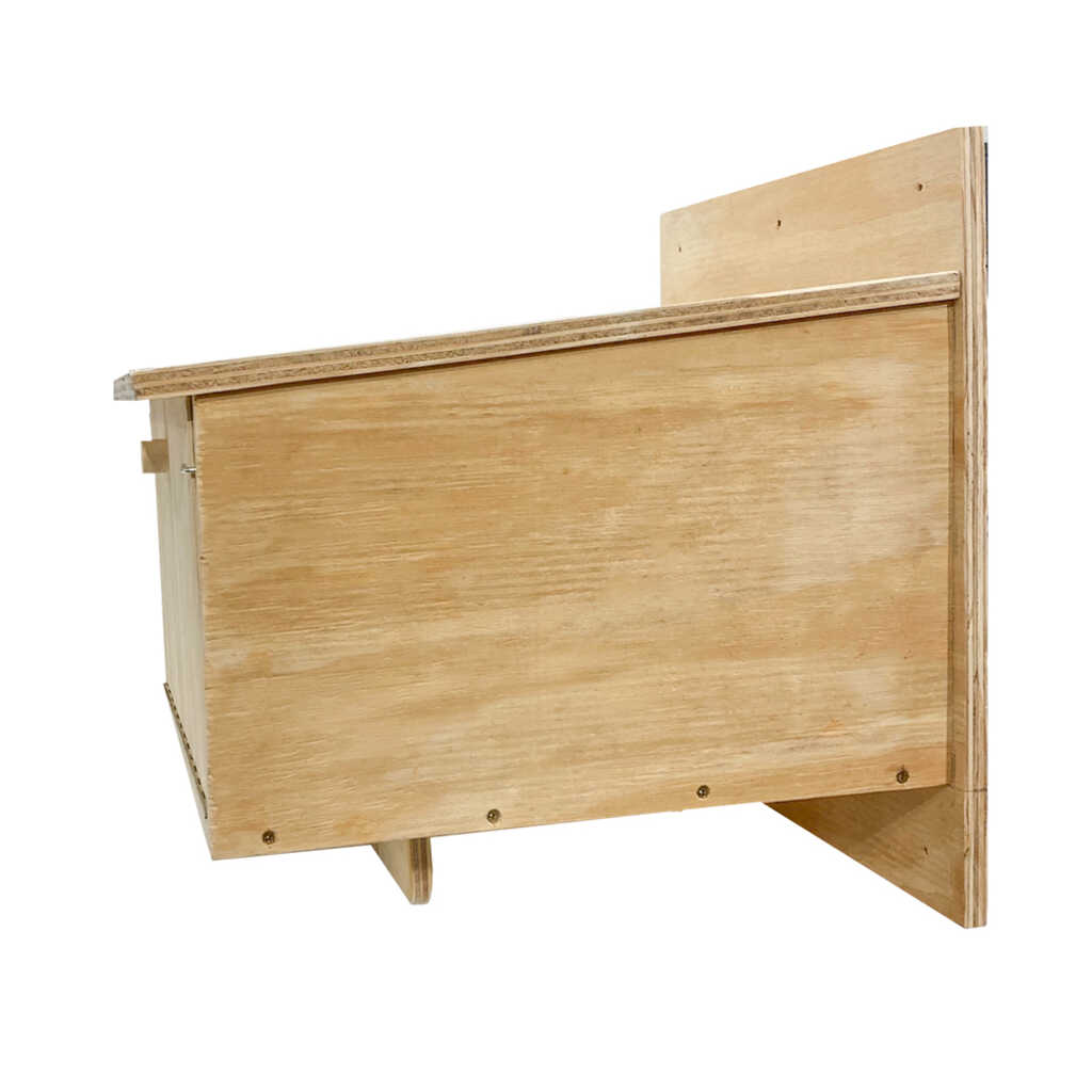 Caja nido de madera para vencejo real 3