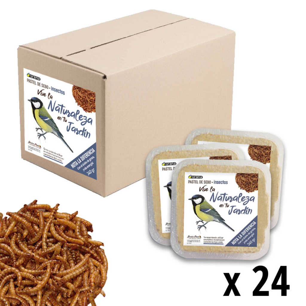 DIF-IN24 Caja con 24 unidades del pastel de sebo con insectos