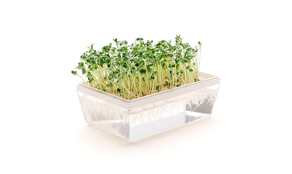 Germinadora EVA-H con kit hidropónico_1