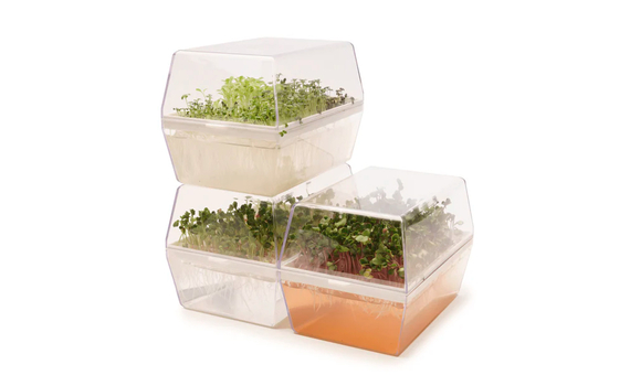 Germinadora EVA-H con kit hidropónico 5