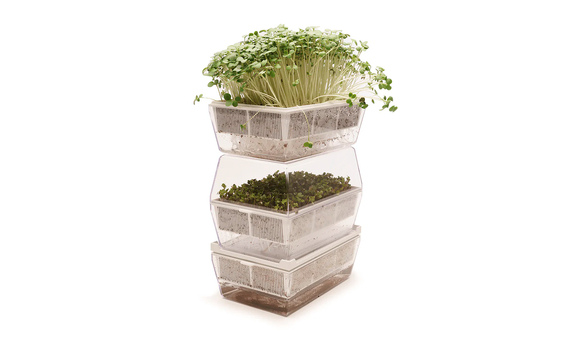 Germinadora EVA-S con sustrato de coco 6