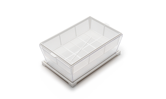 Germinadora EVA-S con sustrato de coco 4