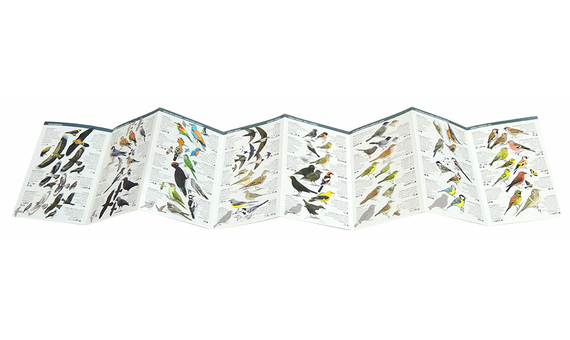 125 OCELLS DE CATALUNYA QUE CAL CONÈIXER. MINIGUIA DE CAMP 3