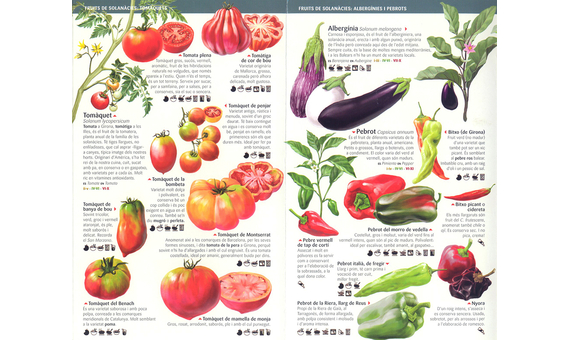 Hortalisses de Catalunya. Més de 80 varietats, els seus usos culinaris, quan conrear-les ... Miniguia de camp 3