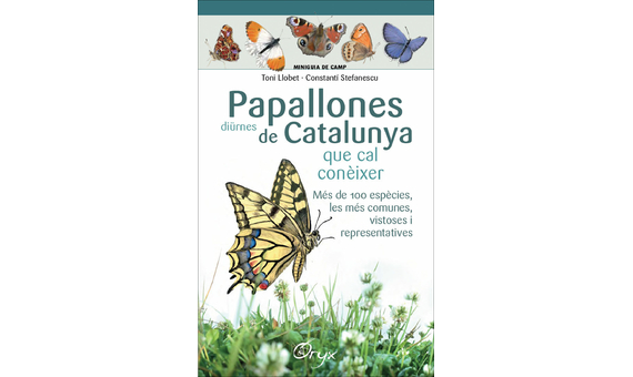 PAPALLONES DIÜRNES DE CATALUNYA QUE CAL CONÈIXER. MINIGUIA DE CAMP