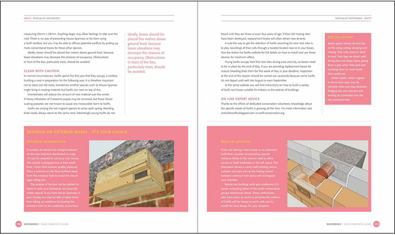 NESTBOXES: YOUR COMPLETE GUIDE 4