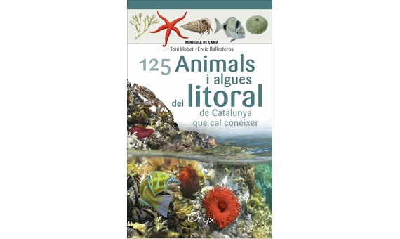 125 ANIMALS I ALGUES DEL LITORAL DE CATALUNYA QUE CAL CONÈIXER. MINIGUIA DE CAMP