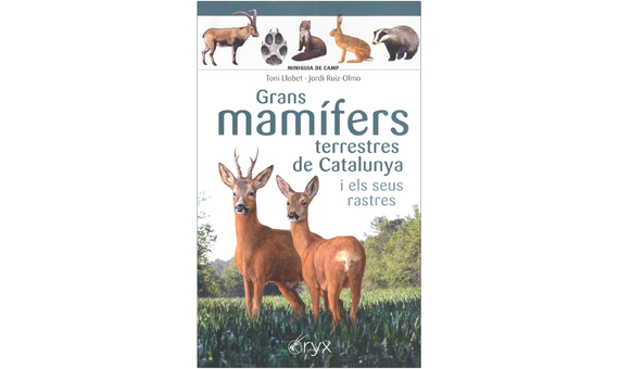 GRANS MAMÍFERS TERRESTRES DE CATALUNYA I ELS SEUS RASTRES. MINIGUIA DE CAMP