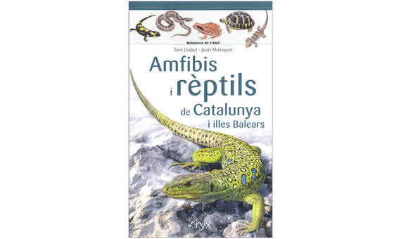 AMFIBIS I RÈPTILS DE CATALUNYA I ILLES BALEARS. MINIGUIA DE CAMP