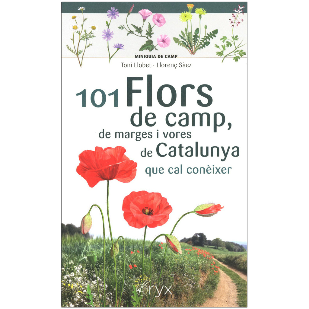 101 Flors de camp, de marges i vores de Catalunya que cal conèixer. Miniguia de camp