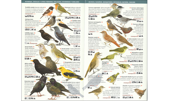 150 Aves de España que hay que conocer. Miniguía de campo 3
