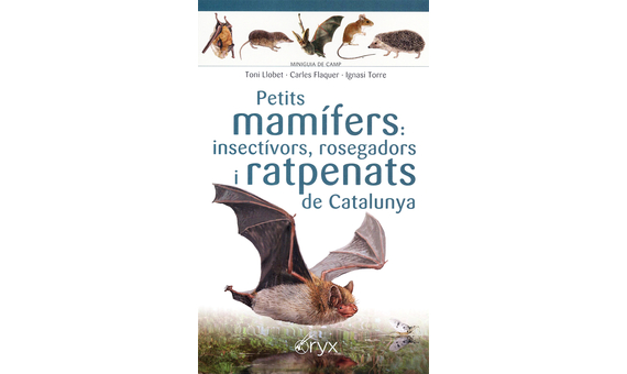 PETITS MAMÍFERS: INSECTÍVORS, ROSEGADORS I RATPENATS DE CATALUNYA. MINIGUIA DE CAMP