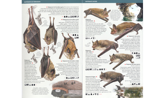 PETITS MAMÍFERS: INSECTÍVORS, ROSEGADORS I RATPENATS DE CATALUNYA. MINIGUIA DE CAMP