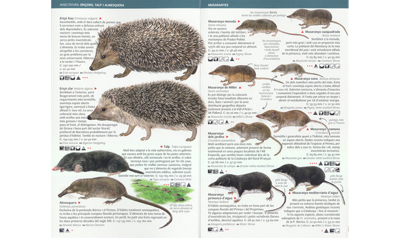PETITS MAMÍFERS: INSECTÍVORS, ROSEGADORS I RATPENATS DE CATALUNYA. MINIGUIA DE CAMP 3