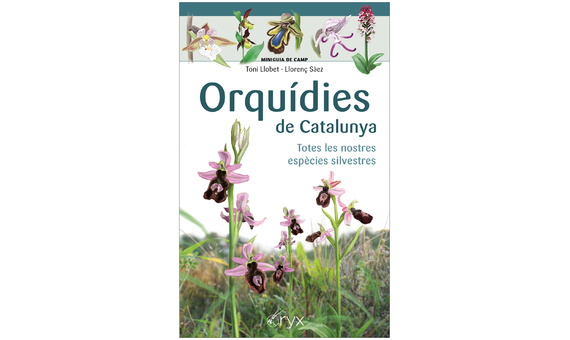 ORQUÍDIES DE CATALUNYA. TOTES LES NOSTRES ESPÈCIES SILVESTRES. MINIGUIA DE CAMP