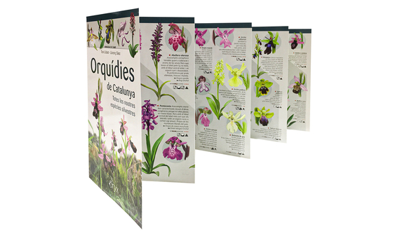 ORQUÍDIES DE CATALUNYA. TOTES LES NOSTRES ESPÈCIES SILVESTRES. MINIGUIA DE CAMP 4