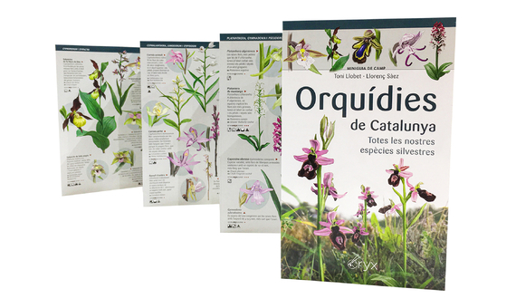 ORQUÍDIES DE CATALUNYA. TOTES LES NOSTRES ESPÈCIES SILVESTRES. MINIGUIA DE CAMP 5