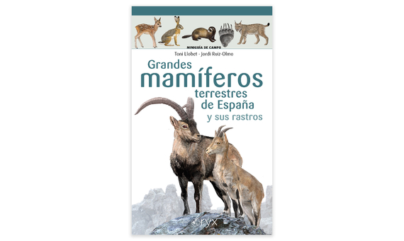 GRANDES MAMÍFEROS TERRESTRES DE ESPAÑA Y SUS RASTROS. MINIGUÍA DE CAMPO