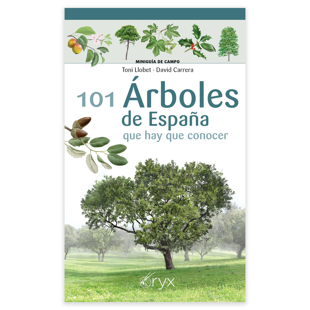 101 Árboles de España que hay que conocer. Minguía de campo