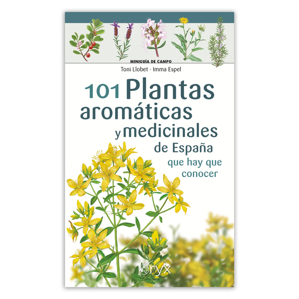 101 PLANTAS AROMÁTICAS Y MEDICINALES DE ESPAÑA QUE HAY QUE CONOCER. MINIGUÍA DE CAMPO