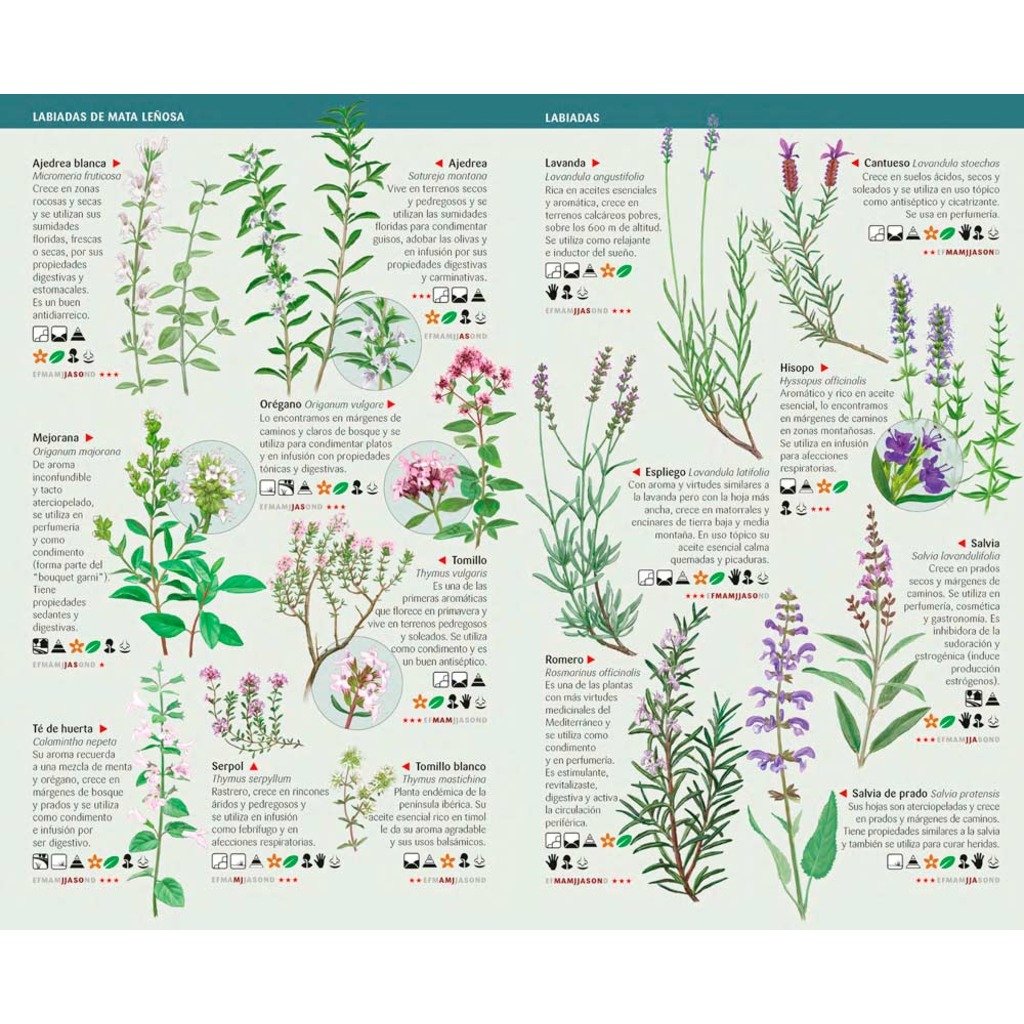 101 PLANTAS AROMÁTICAS Y MEDICINALES DE ESPAÑA QUE HAY QUE CONOCER. MINIGUÍA DE CAMPO_1