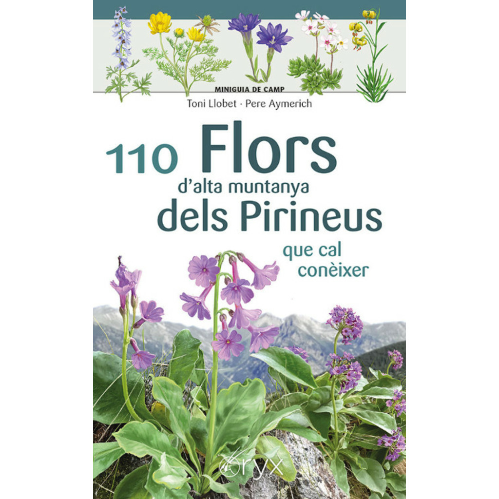 110 FLORS D'ALTA MUNTANYA DELS PIRINEUS QUE CAL CONÈIXER. MINIGUIA DE CAMP