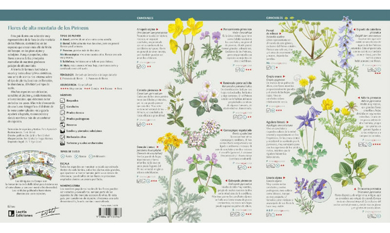 105 FLORES DE ALTA MONTAÑA DE LOS PIRINEOS QUE HAY QUE CONOCER. MINIGUÍA DE CAMPO_1