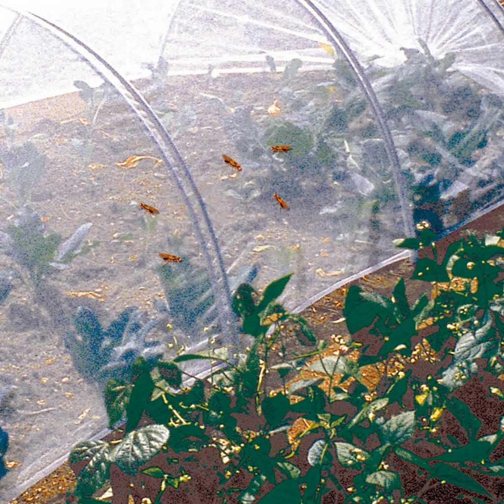 Malla anti insectos Biocontrol 2,20X5m_1