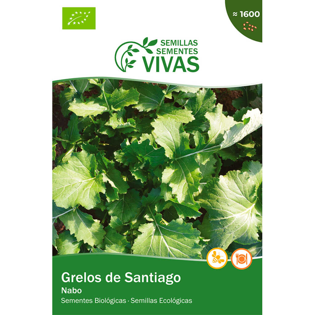 Semillas ecológicas de Grelos de Santiago