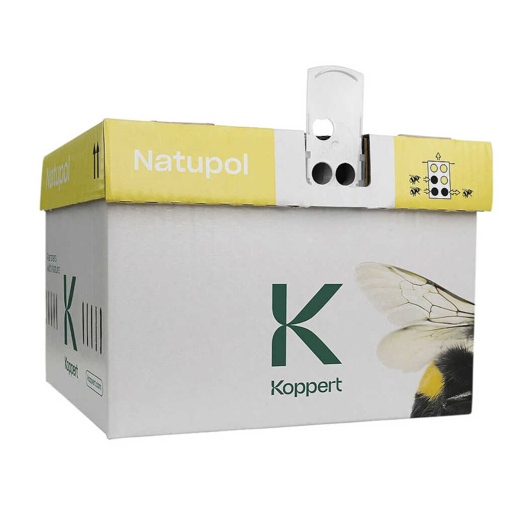 Natupol: colmena para abejorros (Bombus terrestris)