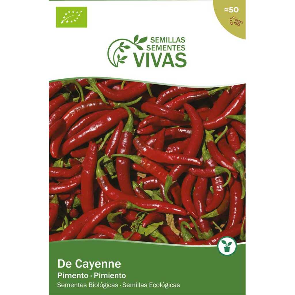Semillas ecológicas de Cayena pimiento picante