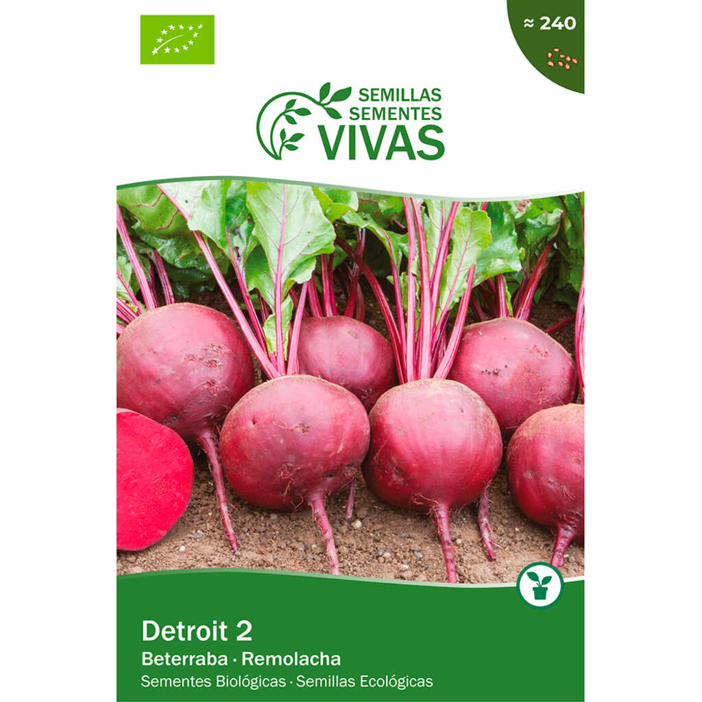 Semillas ecológicas de Remolacha Detroit 2