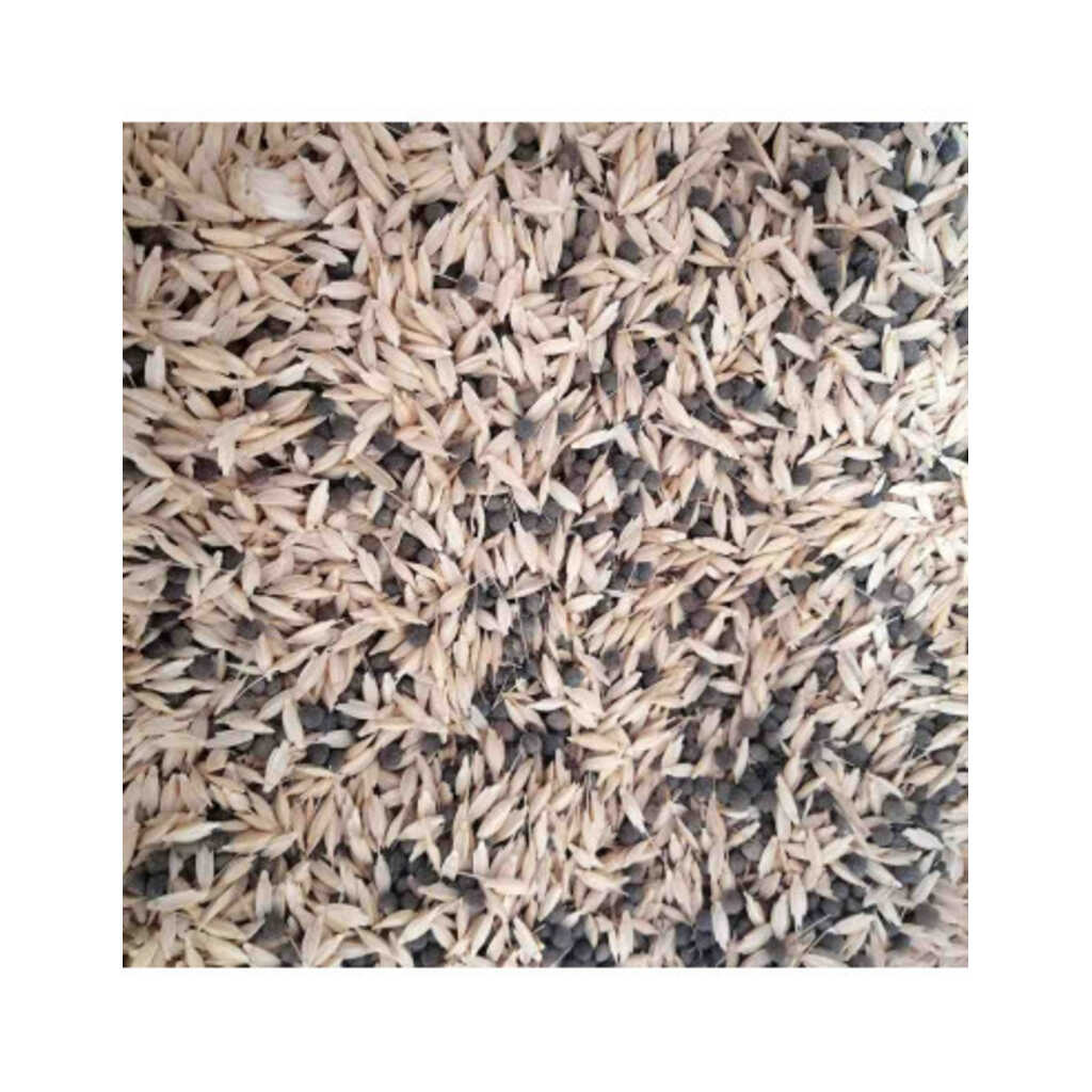 Abono verde primavera: mezcla de semillas para siembra de primavera 1kg_1