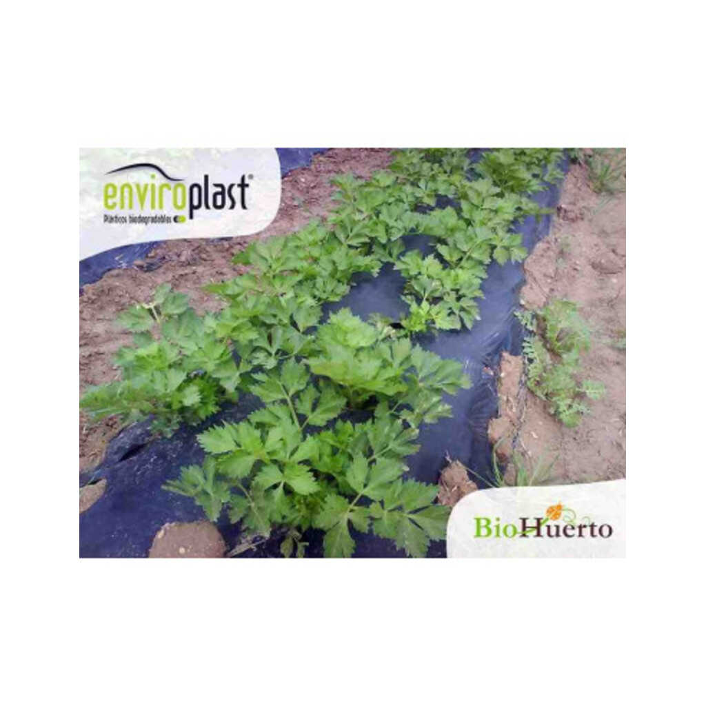 Acolchado biodegradable Enviroplast Negro 1,2x100m 4