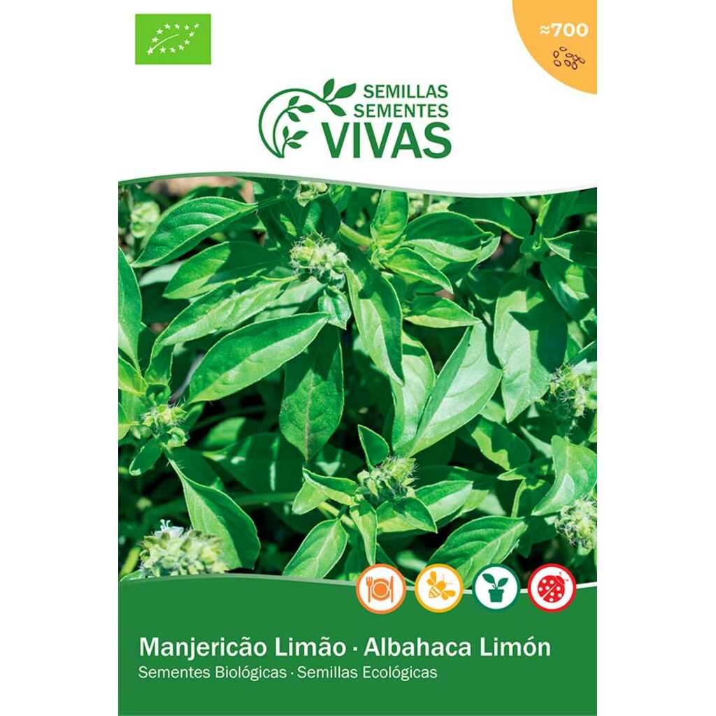 Semillas ecológicas de Albahaca Limón