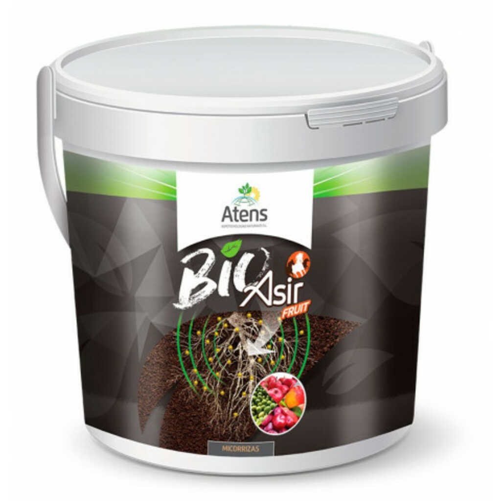 ASIR FRUIT BIO 300 pastillas